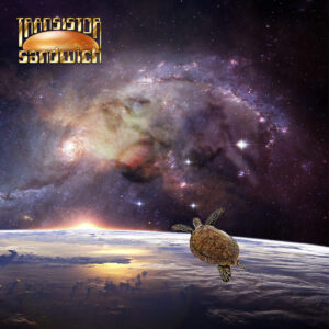 A turtle flying through space orbiting a planet