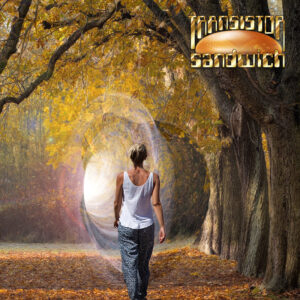 a woman walking toward an energy portal in a wooded park